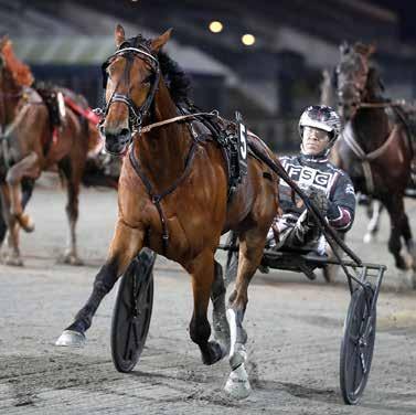 HalmstadTravet Måndag