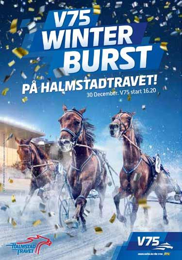 HALMSTAD SELENE RIDE 0:, M Tot: --.00,mbr.s.e Dream Vacation - : 0-0-,.00 : 0-0-,.