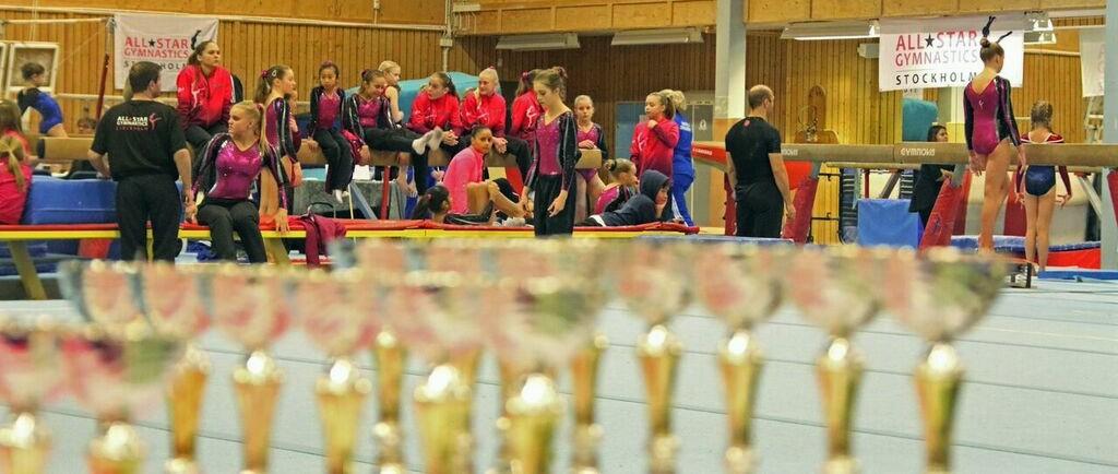 Cuptävling och All Star Cup I november hade vi fått förtroendet att anordna en tävling för svenska Gymnastikförbundet som omfattade Svenska cupen, Juniorcupen, Ungdomscupen och Rikscupen.