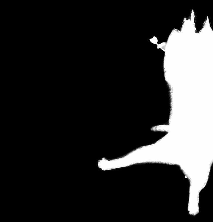 Bemyndiganden På årsstämman den 27 april 2017 beslutades om ett bemyndigande där antalet aktier, konvertibler eller teckningsoptioner inte är begränsad på annat sätt än vad som följer av
