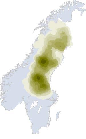 Den tätaste björnstammen i Sverige finns i kärnområdena för reproduktion. Unga honor sprider sig maximalt 80 km från mammans hemområde, och 60 % stannar kvar i anslutning till moderns hemområde.