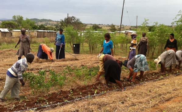 Foto: Fabio Guimaraes Lucas Hållbar försörjning och fattigdomsbekämpning, Afrika I Centralafrikanska republiken, Moçambique, Sydafrika, Swaziland, Tanzania och Zambia lever hälften av befolkningen