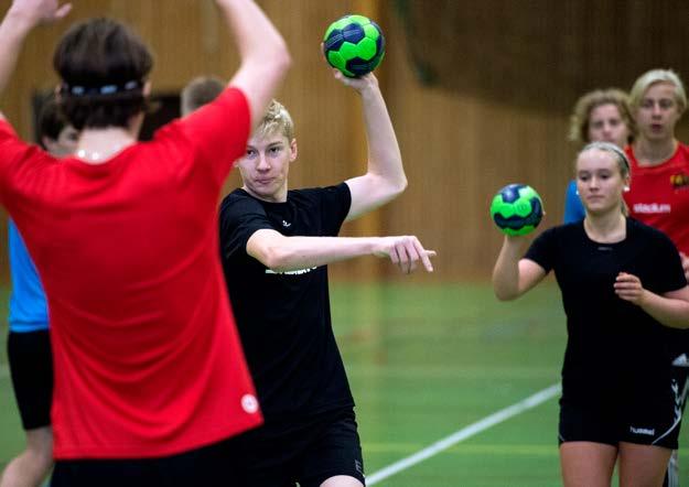 HANDBOLL (LIU) "Den kompletta handbollsspelaren" det är vår vision när du går på handbollsprofilen.