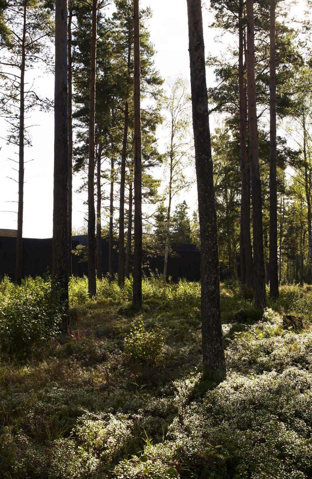 Formspråket är präglat av de platser i Småland det textila hantverket i Äng och