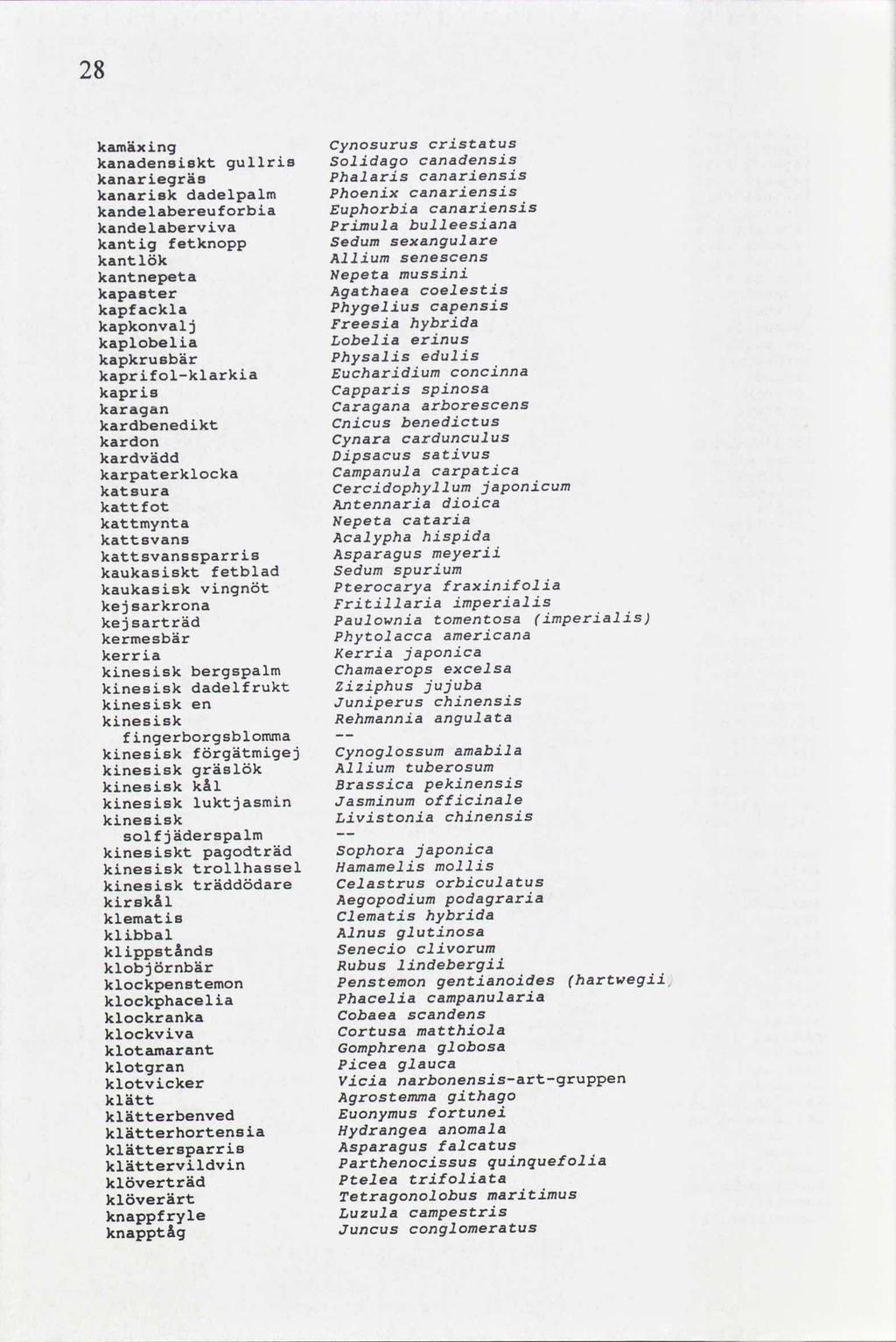 28 cristatus Cynosurus kamäxing canadensis Solidago gullris kanadensisk: canariensis Phalaris kanarieqräs canariensis Phoenix dadelpalm kanarisk canariensis Euphorbia kandelabereuforbia bulleesiana