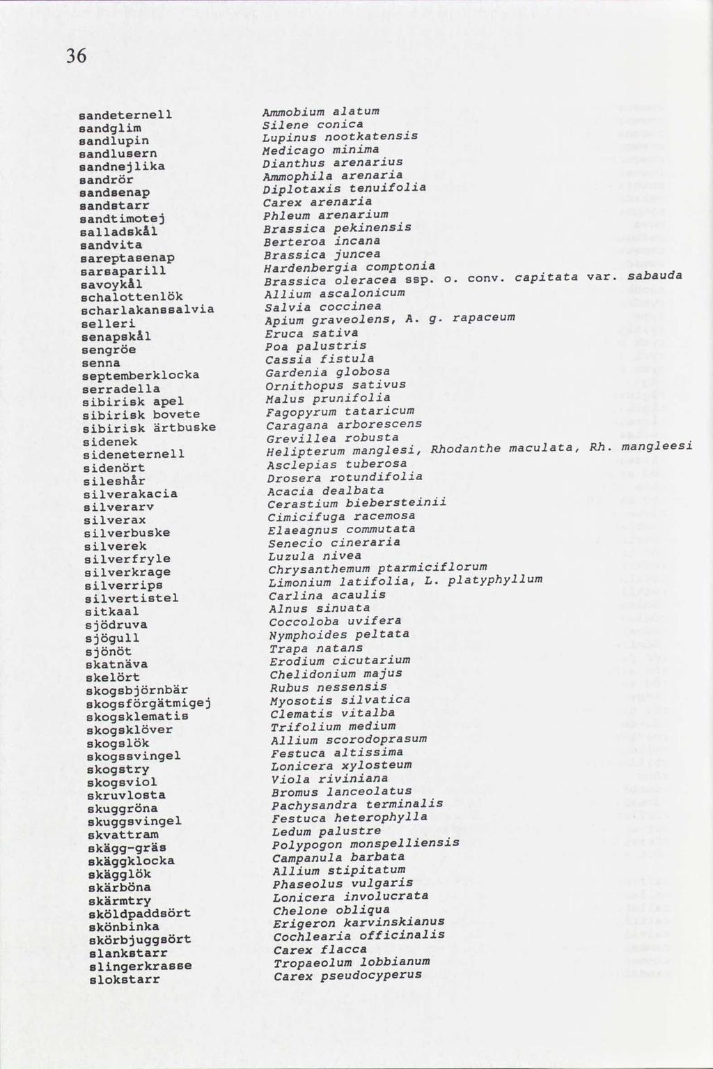 6 Ammobiumalatum sandeternell conica Silene sandglim nootkatensis Lupinus sandlupin minima Medicago sandluaern arenarius Dianthus sandnejlika Ammophila arenaria sandrör tenuifolia Diplotaxis