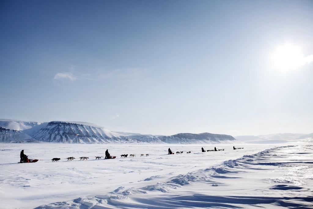 SVALBARD ETT VINTERÄVENTYR Har du upplevt ljuset på Svalbard i mars glömmer du det aldrig! Namnet Svalbard betyder kall kust, och öarna i Svalbard erbjuder stor, vild natur och ett unikt djurliv.