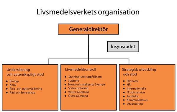 Bild 4.5. Livsmedelsverkets huvudprocesser och specialistfunktioner 2.7.1.1.1 Livsmedelsverkets organisation Bild 4.6.