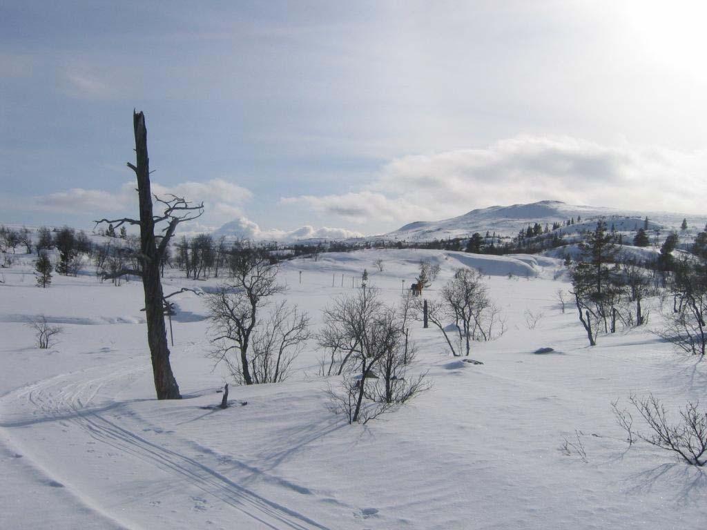 fjällstuga är livskvalité De tre återstående dagarna var en lugn och ostressad färd över fjäll, skogsbackar och sjöar. Vi tog vägen över norska Sylen, där vi åter träffade på det Elektriska.