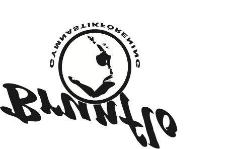 Verksamhets-