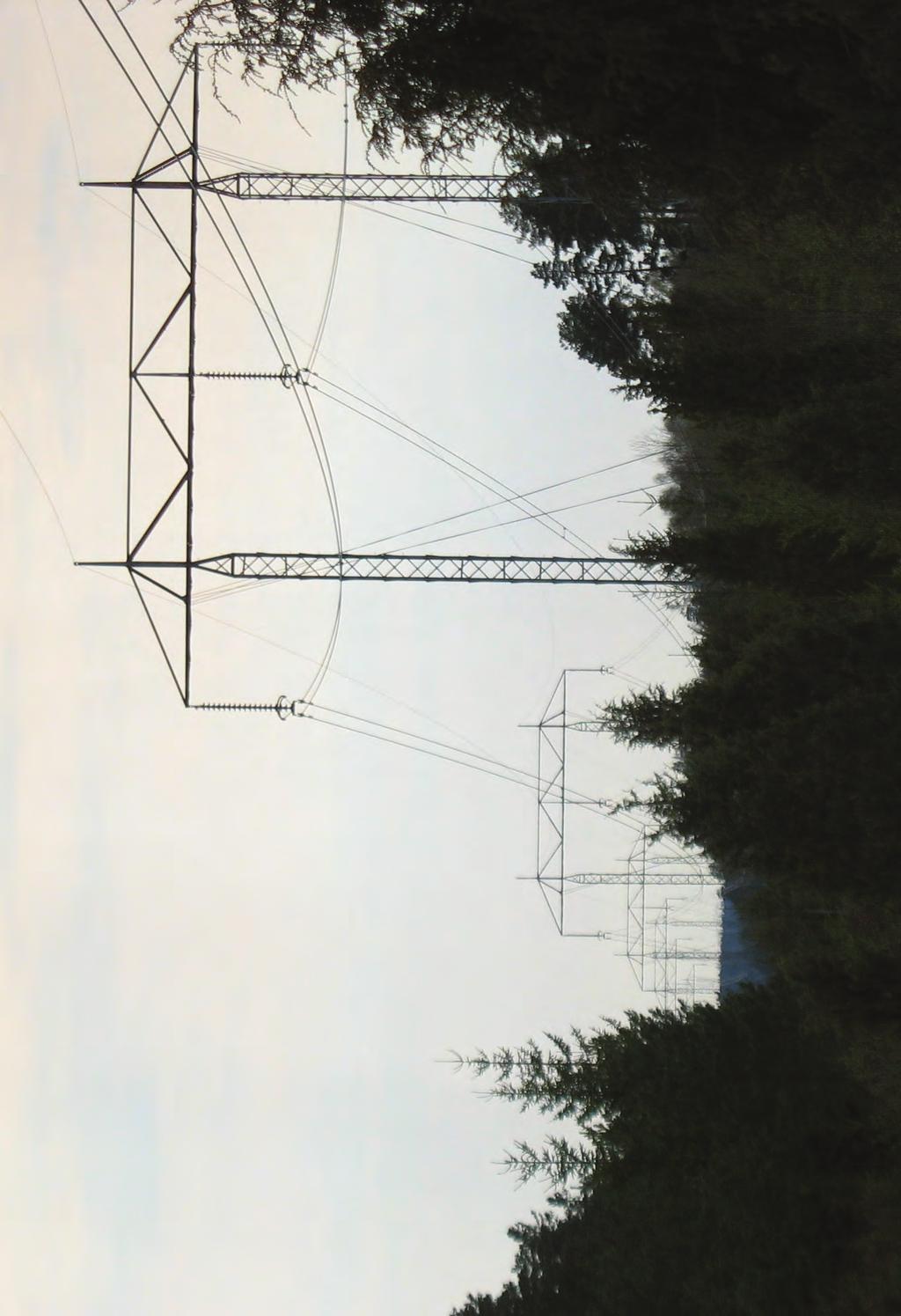 12 Figur 1.2. Befintlig 400 kv-ledning vid Vackamo Riksintresse för Naturvård Riksintresse för Turismen och det rörliga friluftslivet Skoglig värdetrakt Våtmarksinventeringen Ängs- och