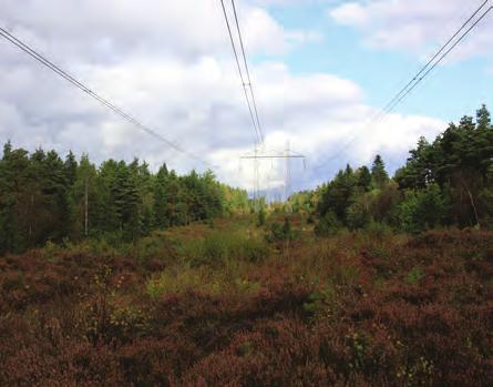 28 4.4.1 ELEKTRISKA FÄLT Elektriska fält mäts i kilovolt per meter (kv/m). Fältet i marknivå är starkast där linorna hänger som lägst. Det elektriska fältet avtar kraftigt med avståndet.