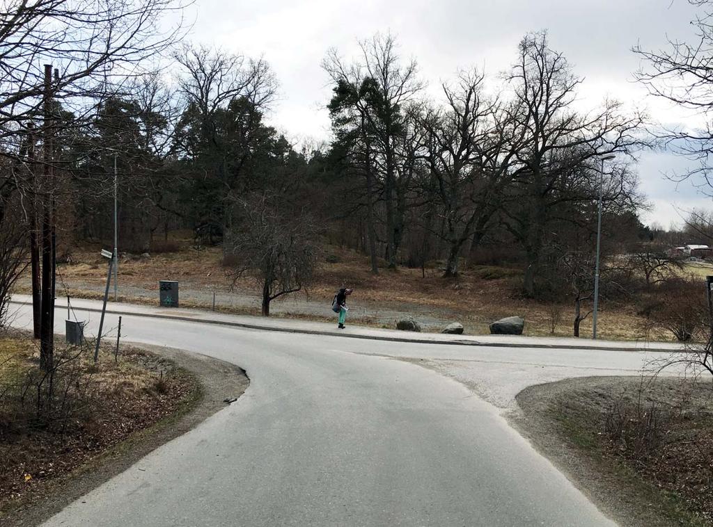 MÖJLIGA ODLINGSPLATSER MED UPPHÖJDA ODLINGSBÄDDAR PLACERAS UT LÄNGS MED