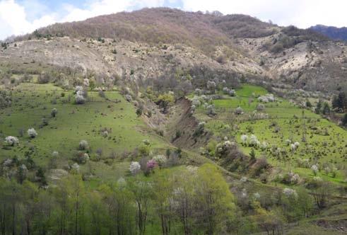 Söndag 30 april Östra bergsluttning i Stepantsminda - N om Gudauri - S om Ananuri - Tbilisi Lake - Dedoplis Tskaro Uppstigning och avgång från hotellet strax efter 06:00 för en sista chans att se