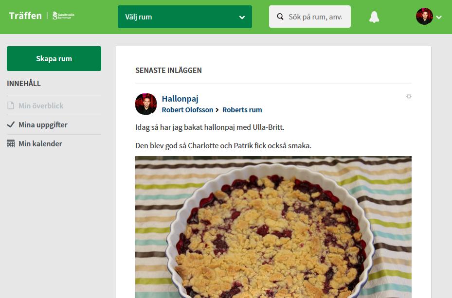 Slutrapport för