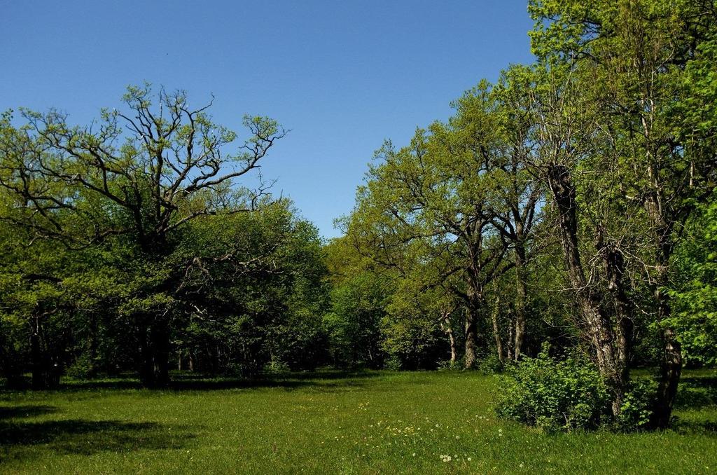 Välkommen till webbinarium om ändrad markanvändning!