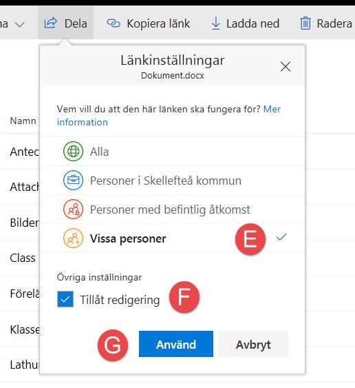 6. Dela en fil via OneDrive E: Välj Vissa personer för att kunna välja vem/vilka som du ska dela med.