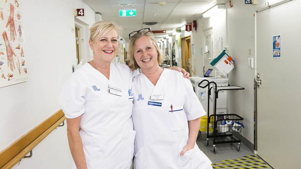 Kompetensstegen - hur får vi till rätt kompetensmix?