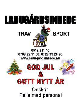 Försäljning/evenemang Henrik Johansson 00- Patrik Österberg 0-0 Ekonomi Ann-Marie Handfast 0-0 Travskolan Martina Johansson 00- Banansvarig Kristofer Larsson 0-00 0 0 Anläggning Per-Arne Henrysson
