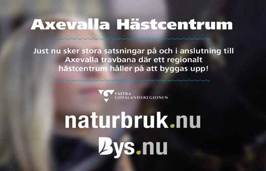 VÄRDE AVD OMSÄTTNING UTDELNING RÄTT ATT UTDELA SYSTEM SEGRARE KVARVARANDE VÄRDE AVD SEGRARE