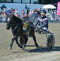 Sternsjö 30,38 Lopp 8: Västerbo Europe-Fredrik B Larsson 4,43 Lopp 9: Rooibos-Björn Goop 4,42 LÖRDAG Ponny, Kat A: Ramona Mustang-Hannah Gustavsson Lopp 1: