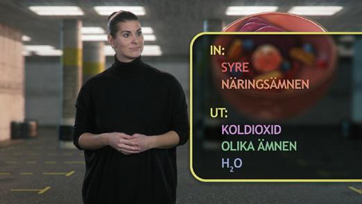 LIV I OLIKA FORMER AVSNITT 18-19 Alla levande organismer består av celler.
