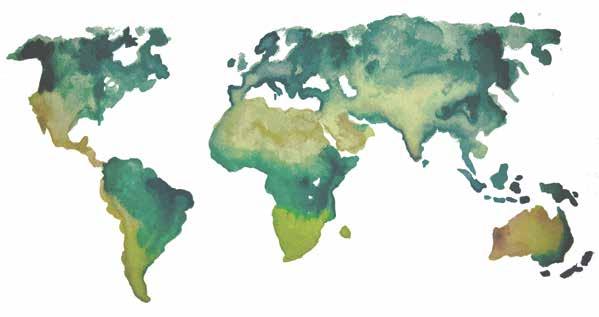 Växtsteroler rekommenderade i internationella kostriktlinjer Växtsteroler är en del av många olika kostrekommendationer av flera internationella hälsoorganisationer såsom The International