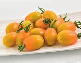 Grönsaker tomat Cupido F 1 (DR) (HR:ToMV:0-2/Fol:0 2/Va:0/ Vd:0 IR:Ma/Mi/Mj) Röd plommonkörsbärstomat, mycket söt och god. Lämplig för lös skörd. Fruktvikt 12 15 g.
