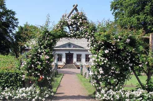 Rosenlunds rosarium errgården och Venusta pendula istorik 1978 är året då Rosenlunds Rosarium anlades, initierat av dåvarande stadsträdgårdsmästare ertil Wrangsjö.
