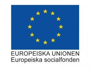 Möjligheten att få en mentor att diskutera med efter avslutad boost. Antal platser är begränsade. Anmälan till boostarna är öppna och finns på Ålands näringslivs hemsida: http://www.naringsliv.