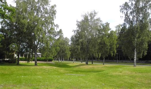 Naturliga översvämningsområden med vegetation bromsar också flödet och därmed renas vattnet genom sedimentation och ämnesupptagning innan det når en recipient.