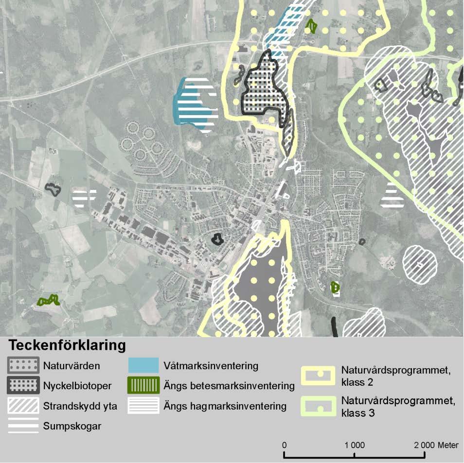 Fördjupad översiktsplan för Alvesta tätort Samrådshandling HÄNSYN Väster om Lekarydsån finns en nyckelbiotop med lövsumpskog med stora botaniska värden.