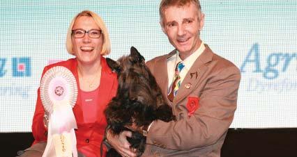 Hamish Etiquette Extra Hot N Spicy (Hamish) "WAUW Rør sig som en Kung It is a honour to jugde this dog" Dette er bare nogle få dommerkommentarer, som har printet sig på nethinden igennem Hamish lange