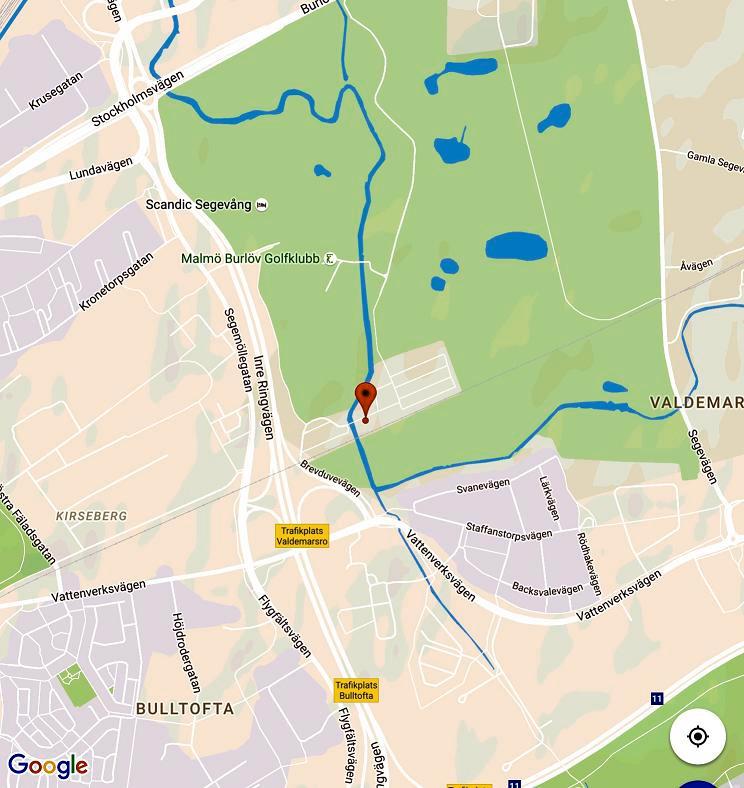 DUVDAGEN MALMÖ 2 september Lördagen den 2 september klockan 10:00 öppnar vi portarna för årets duvdag! Platsen är som vanligt på BK Fram område (se karta ovan).