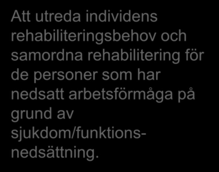Att utreda individens rehabiliteringsbehov och samordna rehabilitering för de personer som har nedsatt