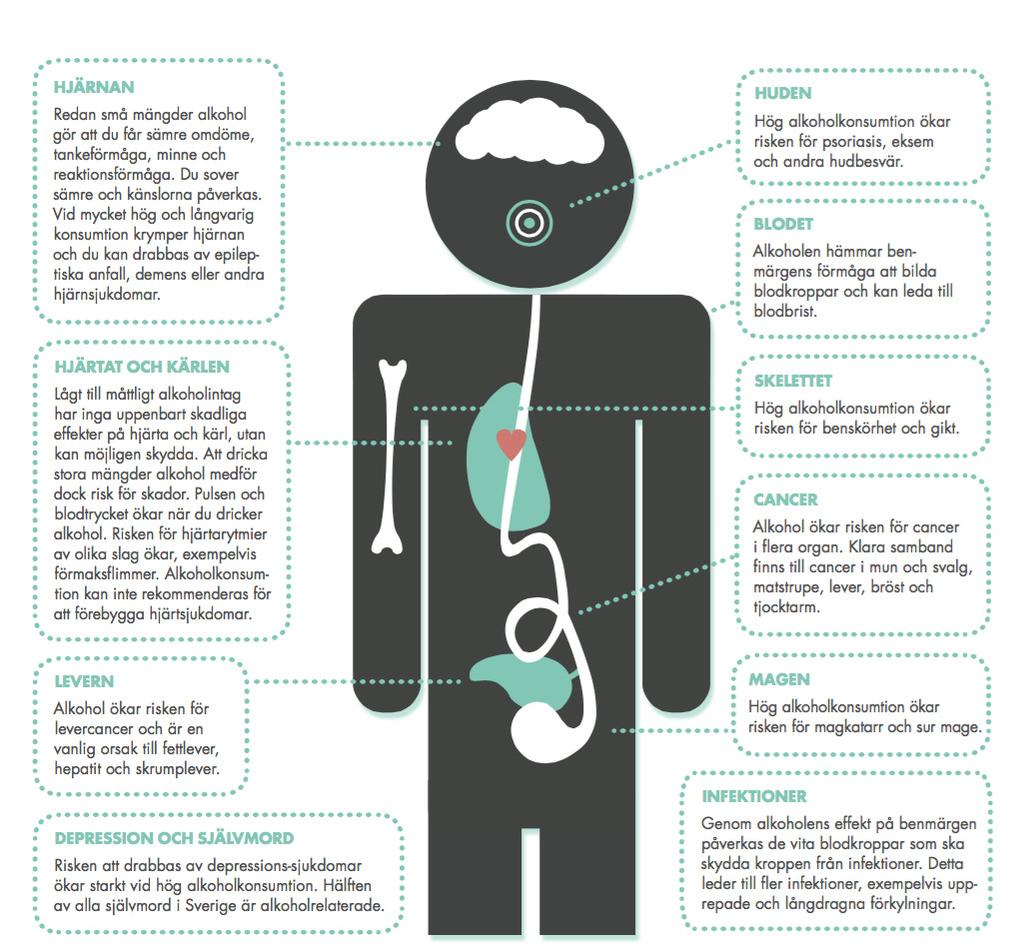 FILM: Vilka hälsorisker finns det med alkohol? Se www.helamanniskan.se/vad-gor-vi/nationella-projekt/aldres-halsa-och-alkohol/ Se filmen och titta på bilden under nästa rubrik. Samtala om bådadera.