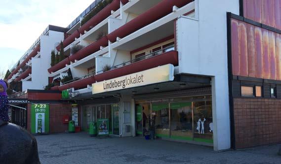Nätverk är en väg in i samhället under hela resan Många av de intervjuade beskriver vikten av nätverk för att kunna integreras in i en kultur. Nätverken som beskrivs tar sig form på olika sätt.