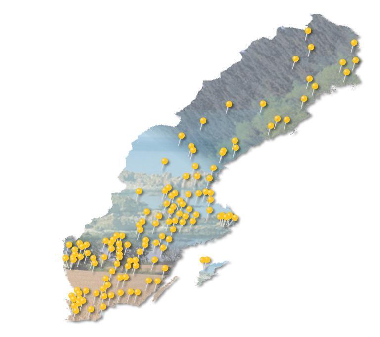 Medlemmar i Svensk Fjärrvärme Företagens ägandeform Statliga Privata