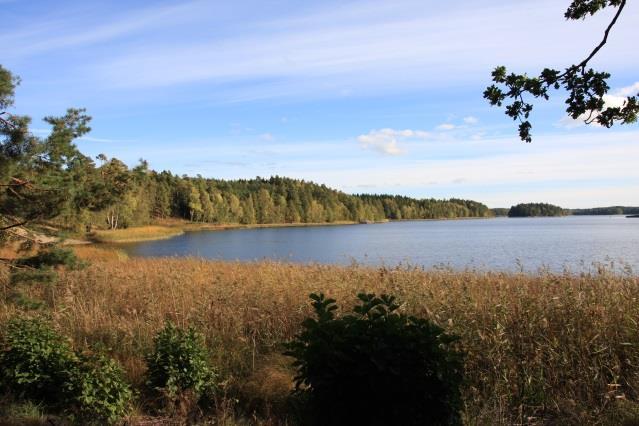 Vandringen är lätt och det är relativt flack vandring.