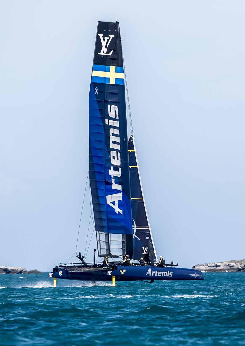 Foto: Sander van der Bosch/Artemis Racing