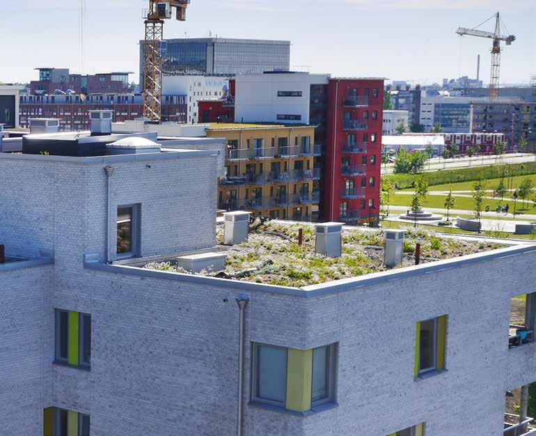 2 GENERELL BESKRIVNING AV GRÖNA TAK Ett grönt tak på en byggnad eller konstruktion måste byggas upp från grunden och vara fullständigt säkert mot läckage.