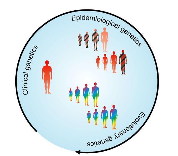 Klinisk epidemiologi Kliniska case-serier Epidemiologiska metoder tillämpade på grupper av patienter, t.
