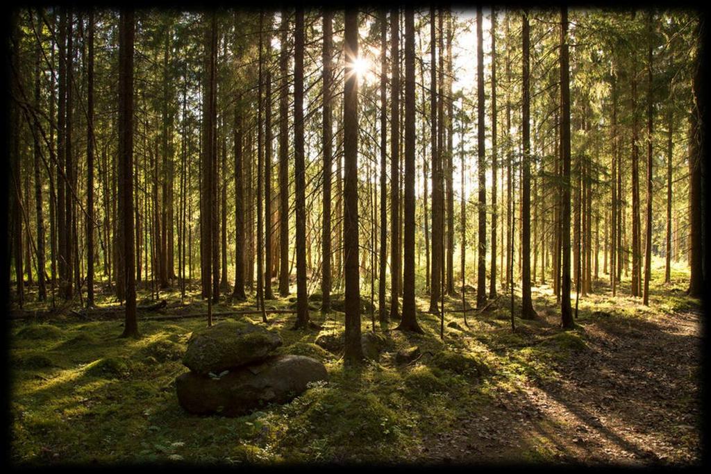 Foto Martin Hugne Förbättrade stöd- och