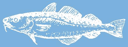 Vågar vi bada överallt och vågar vi äta fisken som fångats i haven kring Sverige? Det är många frågor som dyker upp när man hör och läser om havet och miljön.
