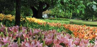 DKK 750 per guide Upplev en helt unik park anlagd i engelsk landskapsstil med sällsynta träd, blommor, sjöar, skulpturer, fjärilsland samt trädgårdsmästeri och inte minst Skjärsommer, det