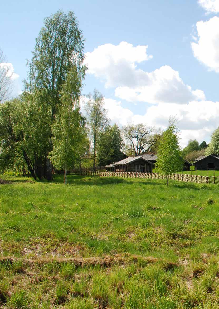 BAKGRUND