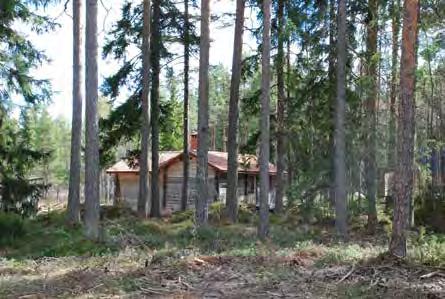 RIKTLINJER, FORTS. Åmåsäng, väster badplats Fastigheterna bör vara relativt stora i förhållande till byggnaderna.