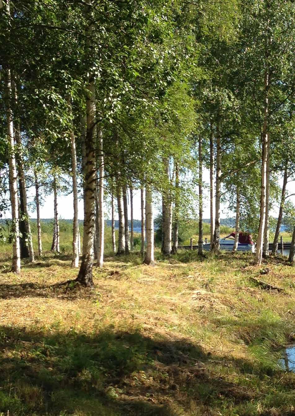 MILJÖ-
