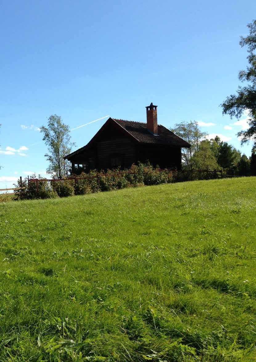 AVSLUTNING Slutligen ges en sammanfattande redogörelse av hur arbetet med miljöbedömningen har bedrivits