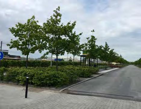 TILLGÄNGLIGHET OCH TRYGGHET För att få en god tillgänglighet i den fysiska miljön krävs att flera olika behov vägs samman.